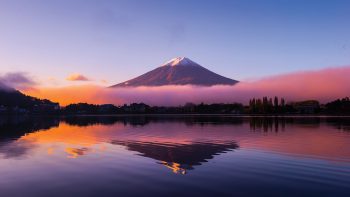 Has Japanese whisky peaked?