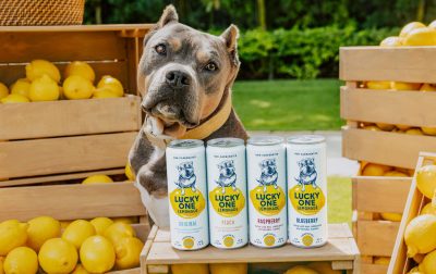 Gallo’s hard lemonade RTD hits 1m cases