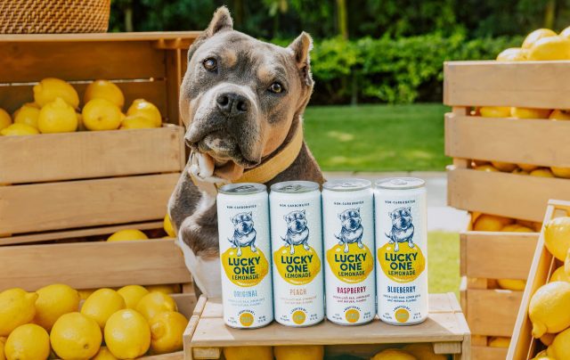 Lucky One Vodka Lemonade