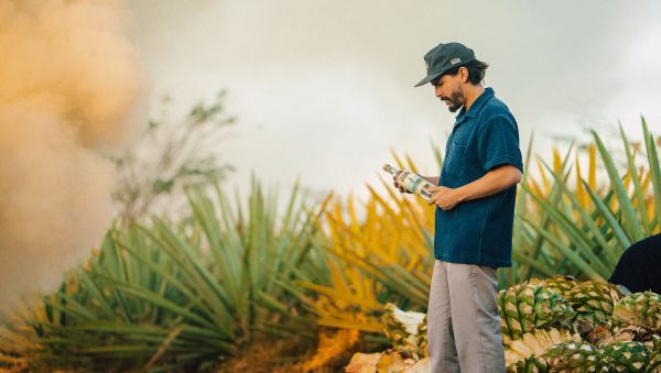 Public appeal: how can mezcal win over consumers?