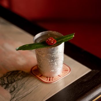 Suma Yunnan Nanpie Mule