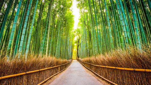 The Asian Spirits Masters 2025 results