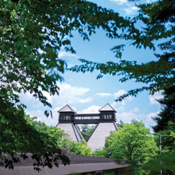 Suntory has recently invested heavily in Hakushu Japanese whisky
