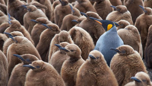 Stand out: how to secure spirits distribution