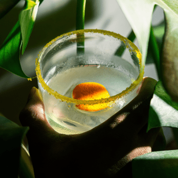 Feni