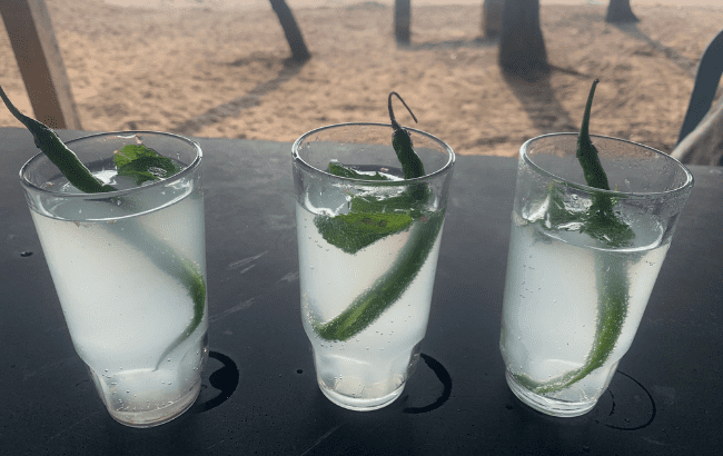 Is Feni the next Tequila?