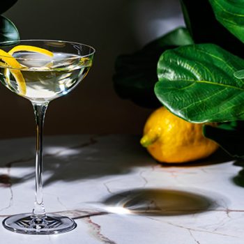 Gin-Masters