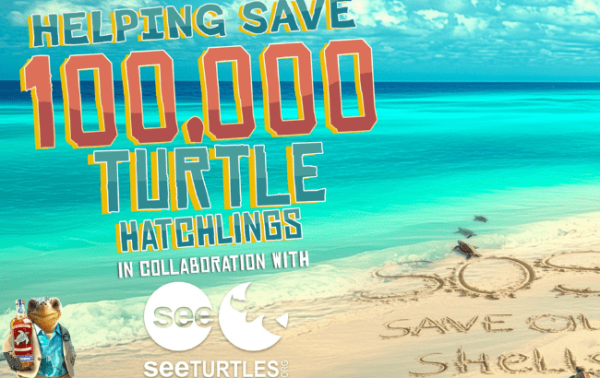 Hawksbill Rum aims to save 100,000 sea turtles