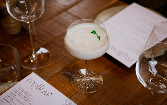 Mallow's Coconut Daiquiri Dropworks Clear Drop
