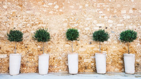 Does terroir matter to vodka drinkers?