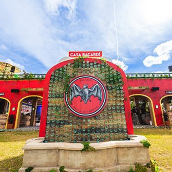 Bacardi has observed a shift in consumer preferences