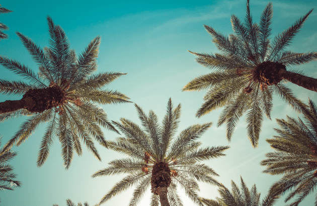 New bill allows craft distillers to ship to California