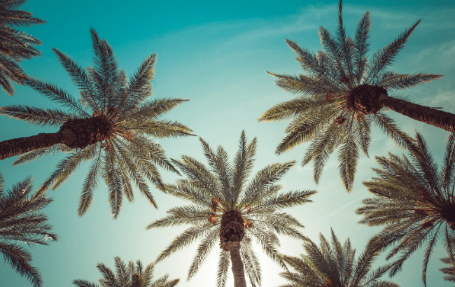 California, US