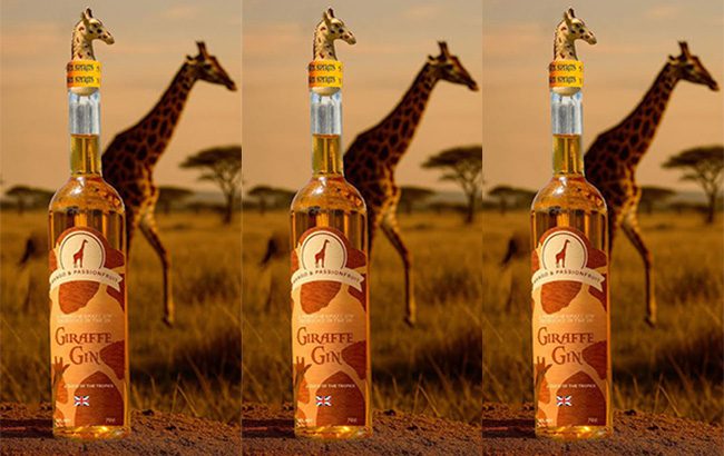 Giraffe-Gin gift