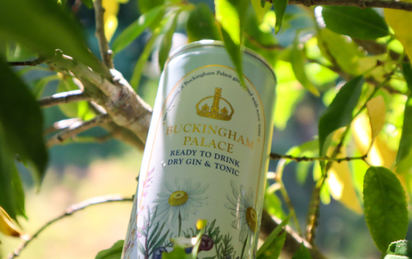 Buckingham Palace moves into RTDs