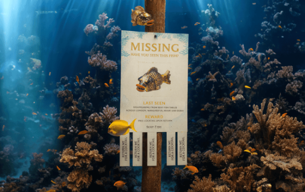 Sexy Fish offers reward for return of stolen fish