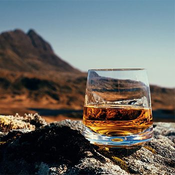 scotch whisky newsletter