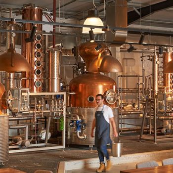 Hayman's-Distillery