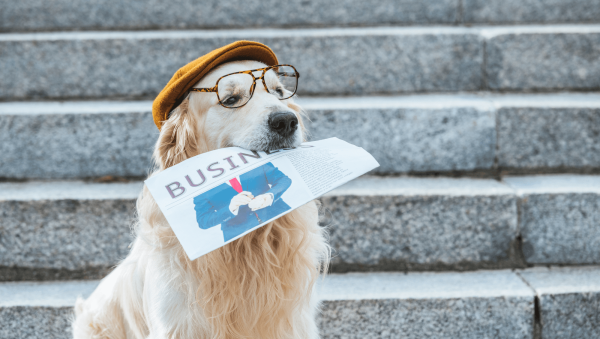 SB’s most-read stories from August