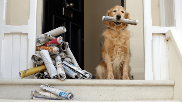 SB’s most-read stories in September