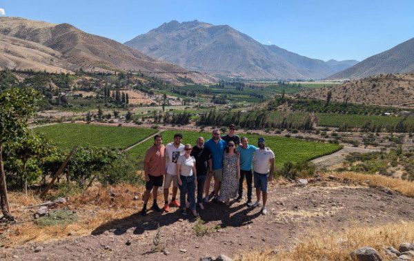 Pisco: from Chile to the UK