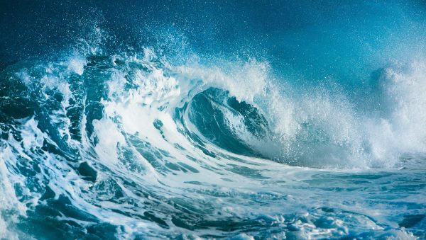 Rum producers spring into action against climate change