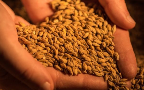 Diageo halts production at Roseisle Maltings