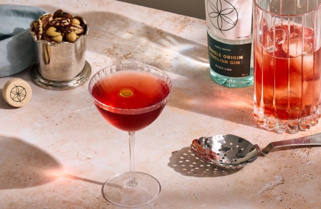 Top 10 cocktail recipes for November 2025
