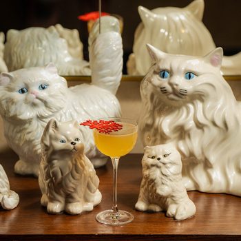 Silver-Lyan-cocktails