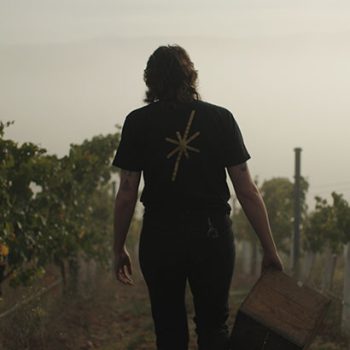 Starward-Carlie-Dyer