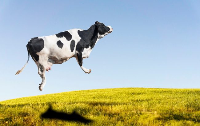 minuman keras krim vegan PETA