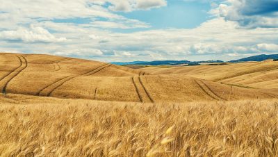 French whisky: the category with je ne sais quoi