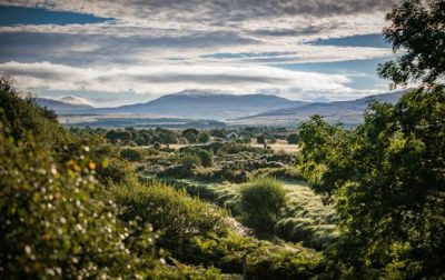 Diageo pledges £5m to restore Scotland’s peatlands