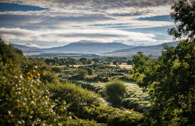 Diageo pledges £5m to restore Scotland’s peatlands