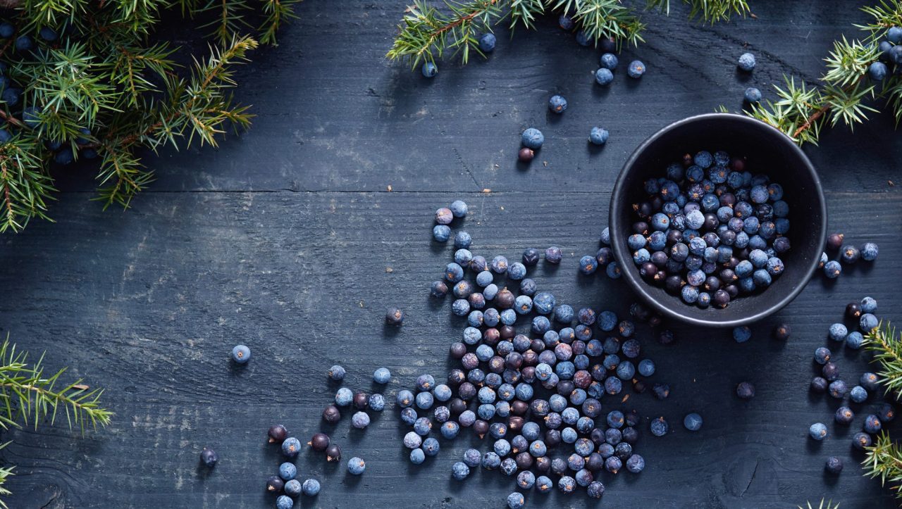 World Spirits Report 2025: Gin