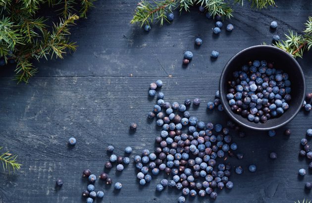 World Spirits Report 2025: Gin