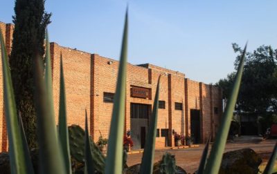 Ocho Tequila ramps up production