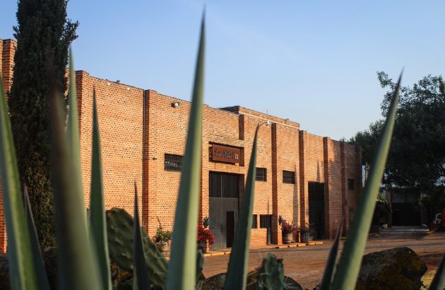 Ocho Tequila ramps up production