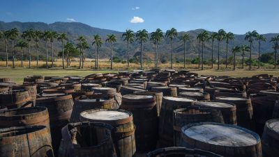 World Spirits Report 2025: rum