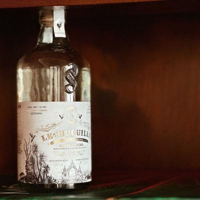 Santo Cuviso Lechuguilla makes European debut