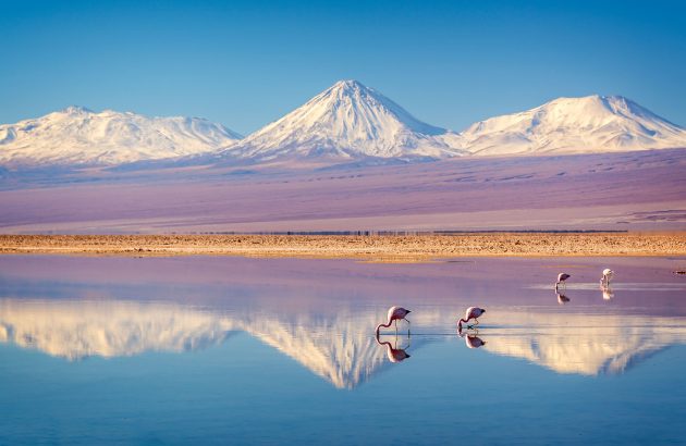 South America: where can spirits find success?