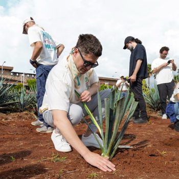 Tahona Society Altos Tequila