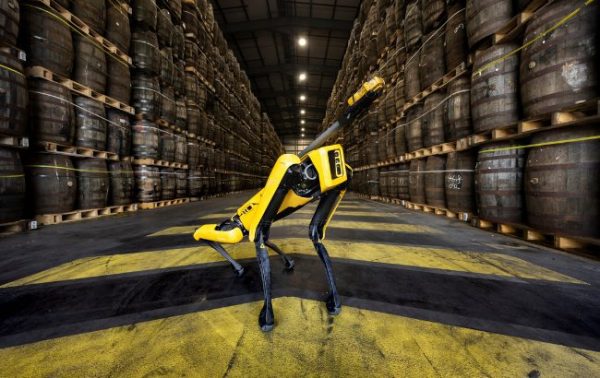Bacardi hires robotic dog to detect ethanol leaks