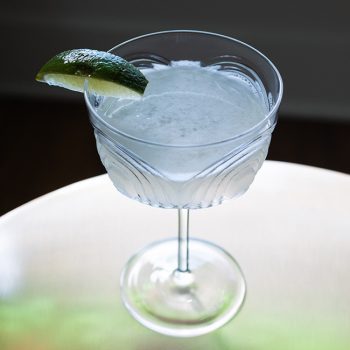 Rosette Ease Into It