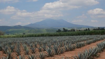 SB visits…Volcan de mi Tierra