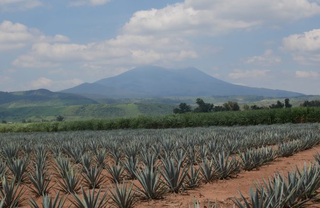 SB visits… Volcan de mi Tierra