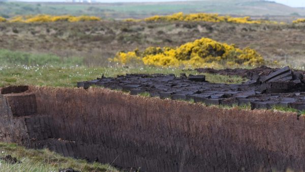 For peat’s sake: how spirits firms are restoring Scotland’s peatlands