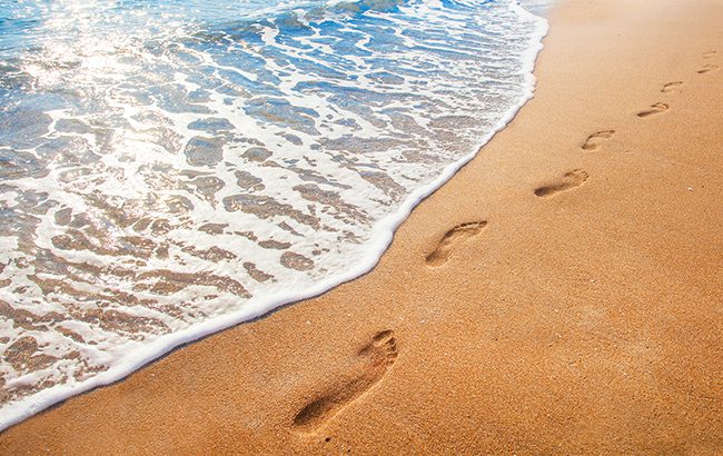 Sustainability: Spirits brands are increasingly questioning what kind of footprint they’re leaving behind