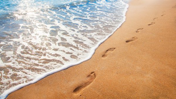 What does sustainability in spirits mean today?