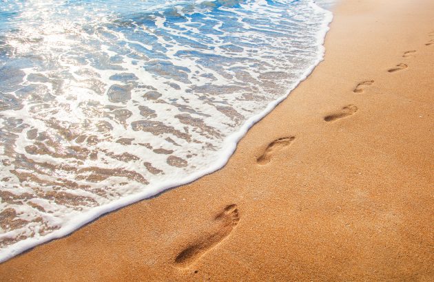 What does sustainability in spirits mean today?